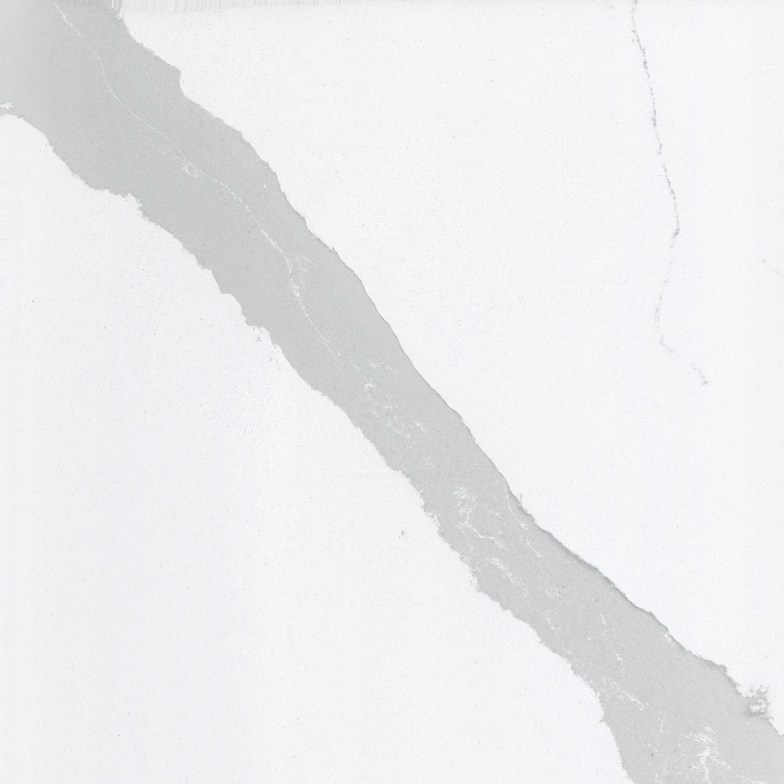 Silestone Bianco Calacatta slab with white background and gray veining — elegant quartz countertops installed by Signature Stone Las Vegas