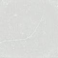 Silestone Desert Silver quartz slab with elegant light gray marbled veining and smooth polished finish — premium quartz countertops installed by Signature St...