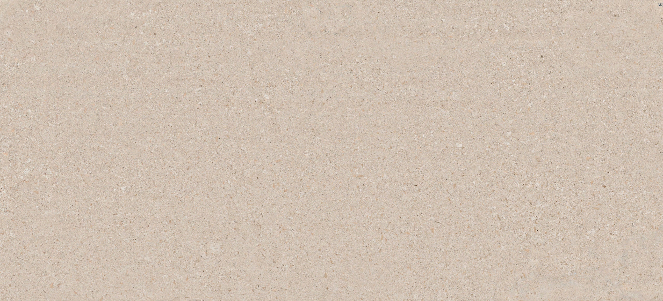 Dekton Avorio slab surface featuring warm beige tones with subtle natural veining — dekton kitchen countertops by Signature Stone Las Vegas