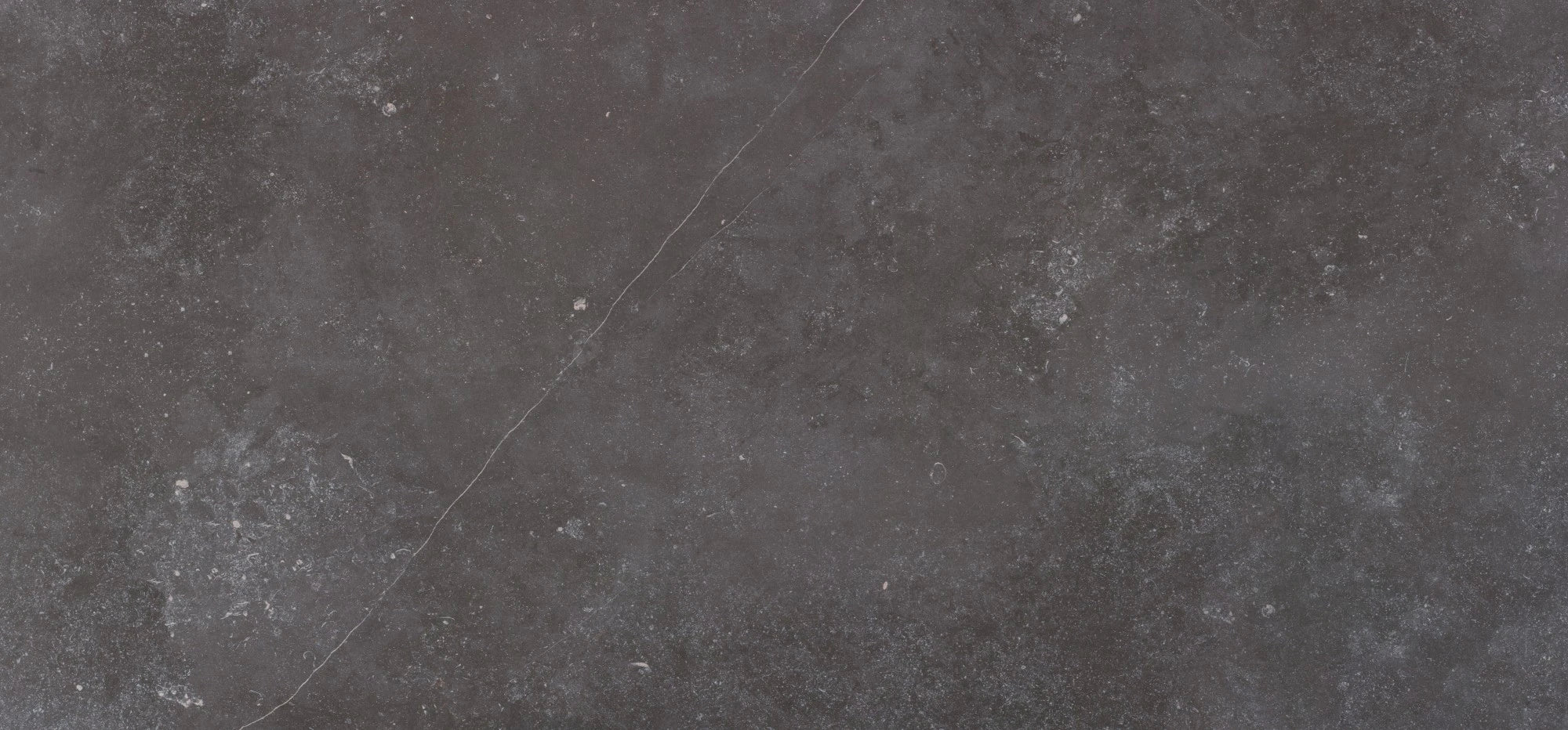 Dekton Fossil slab surface with dark charcoal base and white fossil-like veining — premium dekton kitchen countertops by Signature Stone Las Vegas