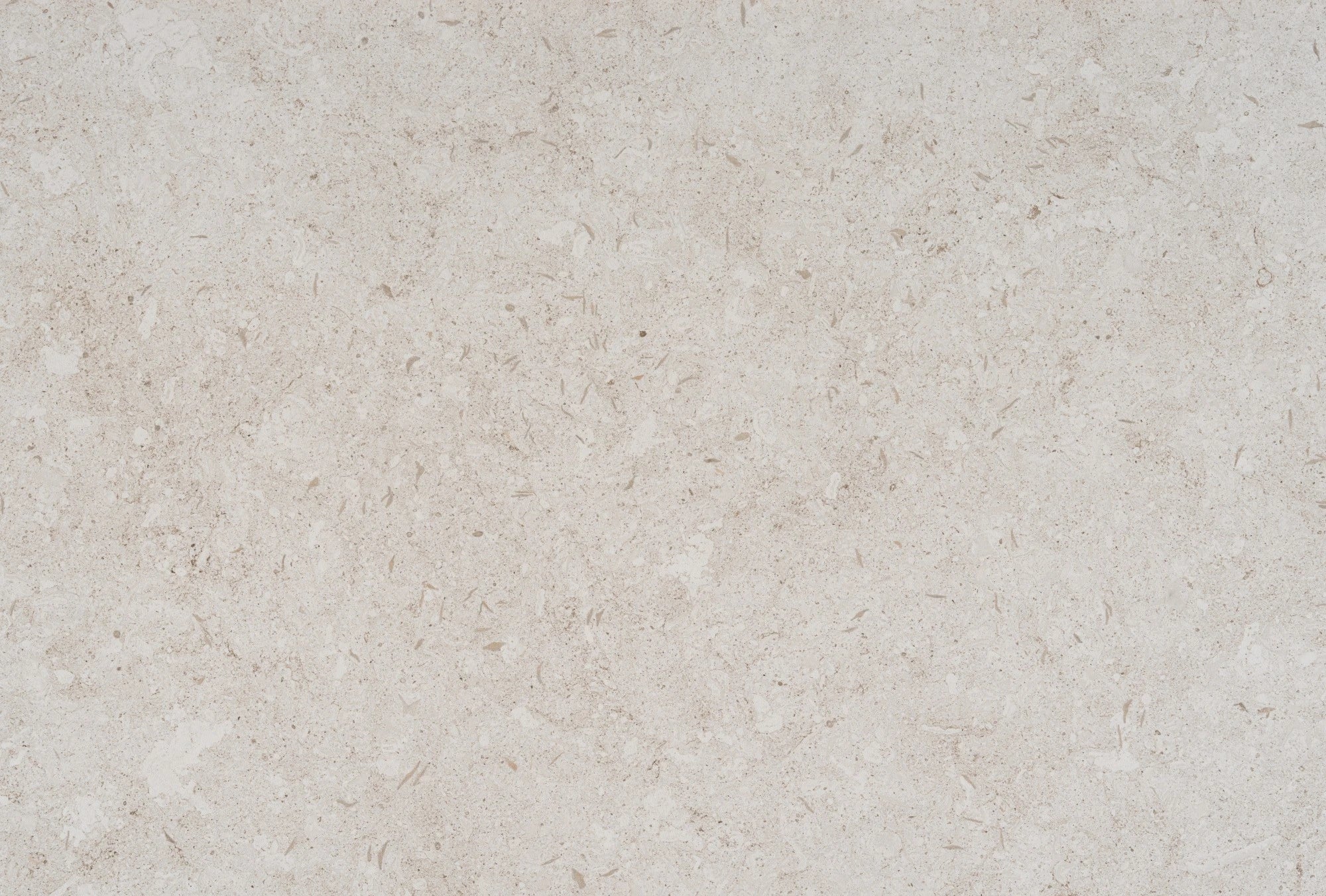 Dekton Nebbia slab surface with light beige matte finish and subtle speckled texture — dekton countertops installed by Signature Stone Las Vegas