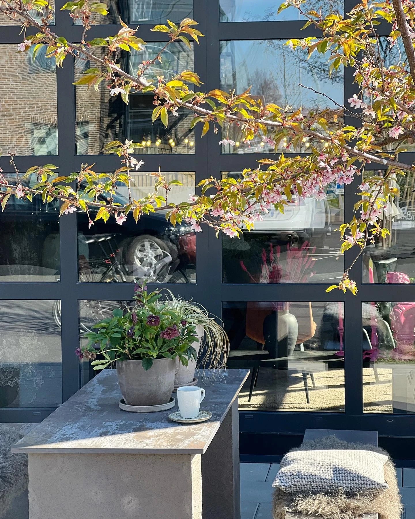 Dekton Trilium surface with warm gray tones and natural stone patterns — premium dekton kitchen countertops by Signature Stone Las Vegas