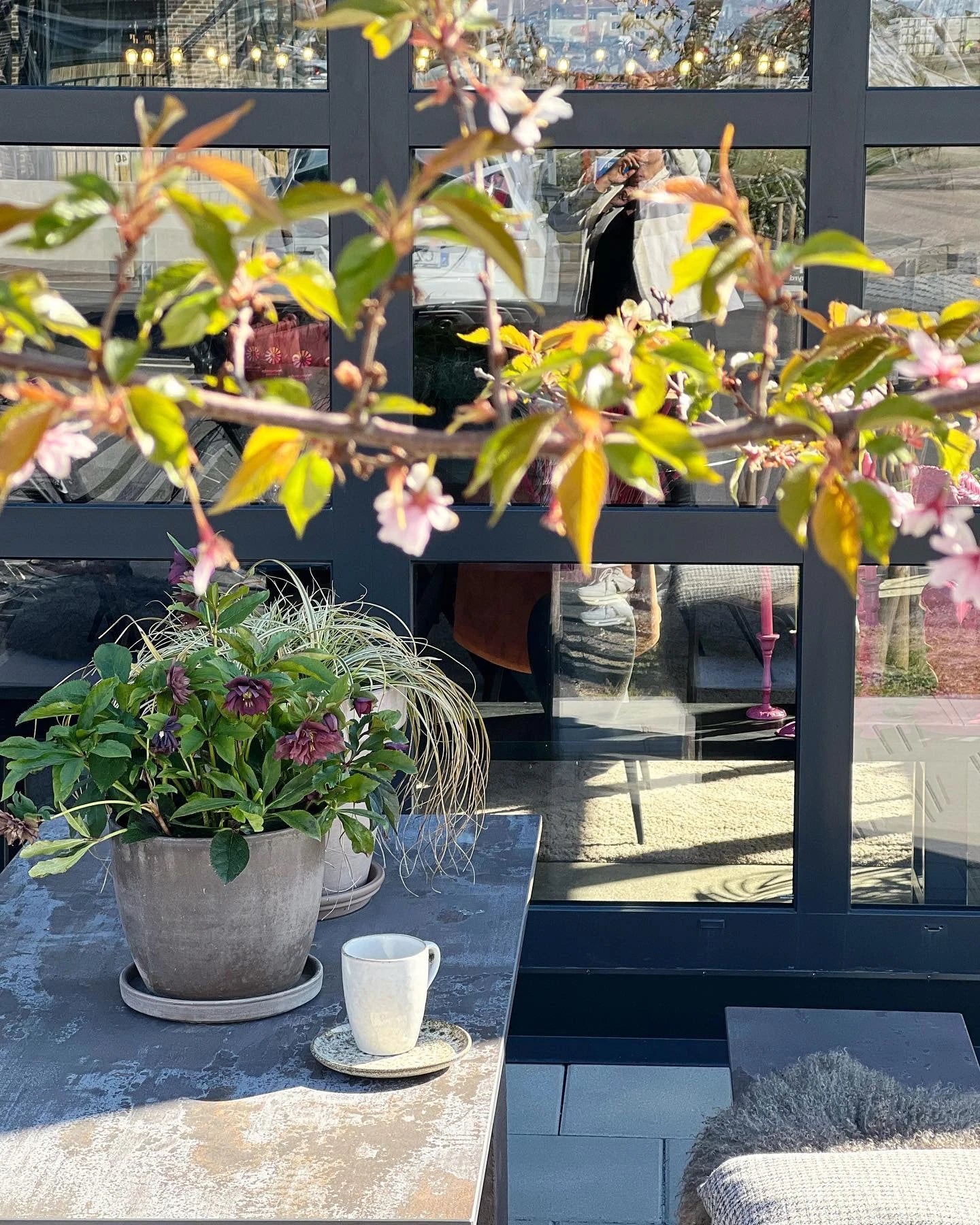 Dekton Trilium outdoor surface with dark veining and matte finish — premium dekton kitchen countertops by Signature Stone Las Vegas
