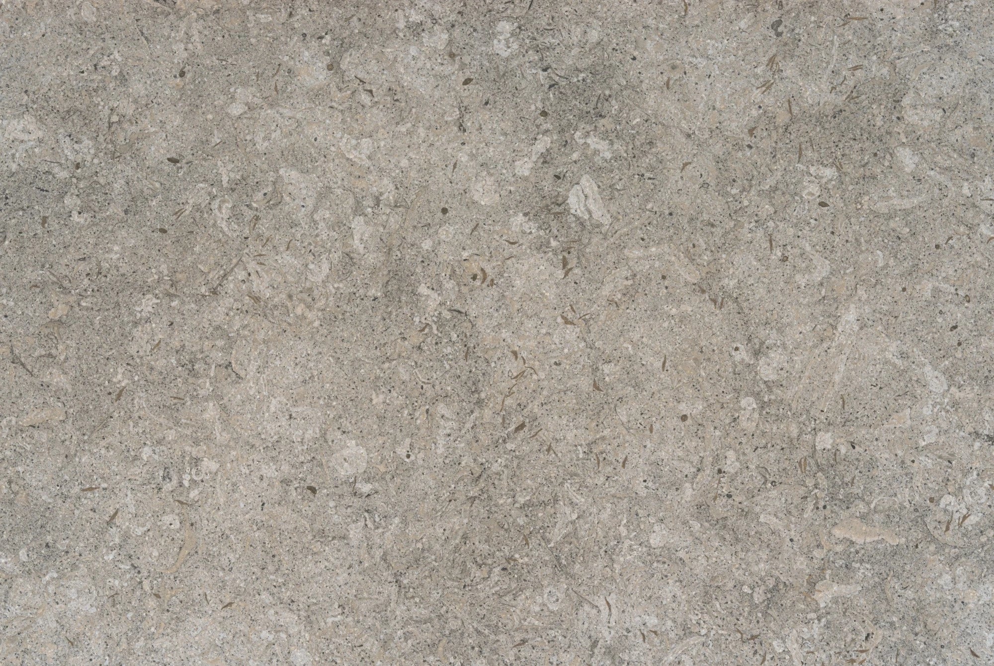 Dekton Grigio slab surface with subtle gray tones and natural stone texture — premium dekton countertops installed by Signature Stone Las Vegas