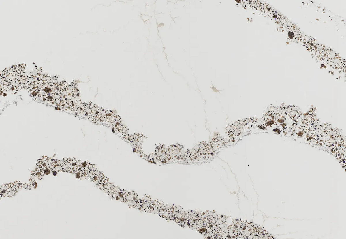 Annicca quartz slab with white background and brown speckled veining — premium countertop fabrication by Signature Stone Las Vegas