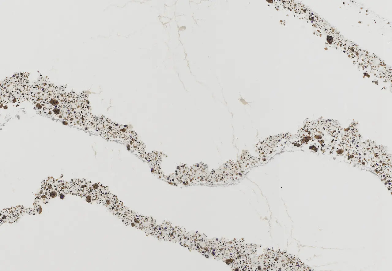 Annicca quartz slab with white background and brown speckled veining — premium countertop fabrication by Signature Stone Las Vegas