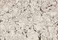 Axbridge quartz slab surface with warm beige tones and intricate dark veining throughout — custom countertops fabricated and installed by Signature Stone LV