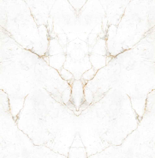 Bianco Arezzo marble surface featuring white background with subtle gold veining and polished finish — custom countertops fabricated and installed by Signatu...