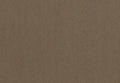 Brighstone quartz surface featuring warm brown textured finish with subtle grain pattern — premium stone countertops installed by Signature Stone Las Vegas