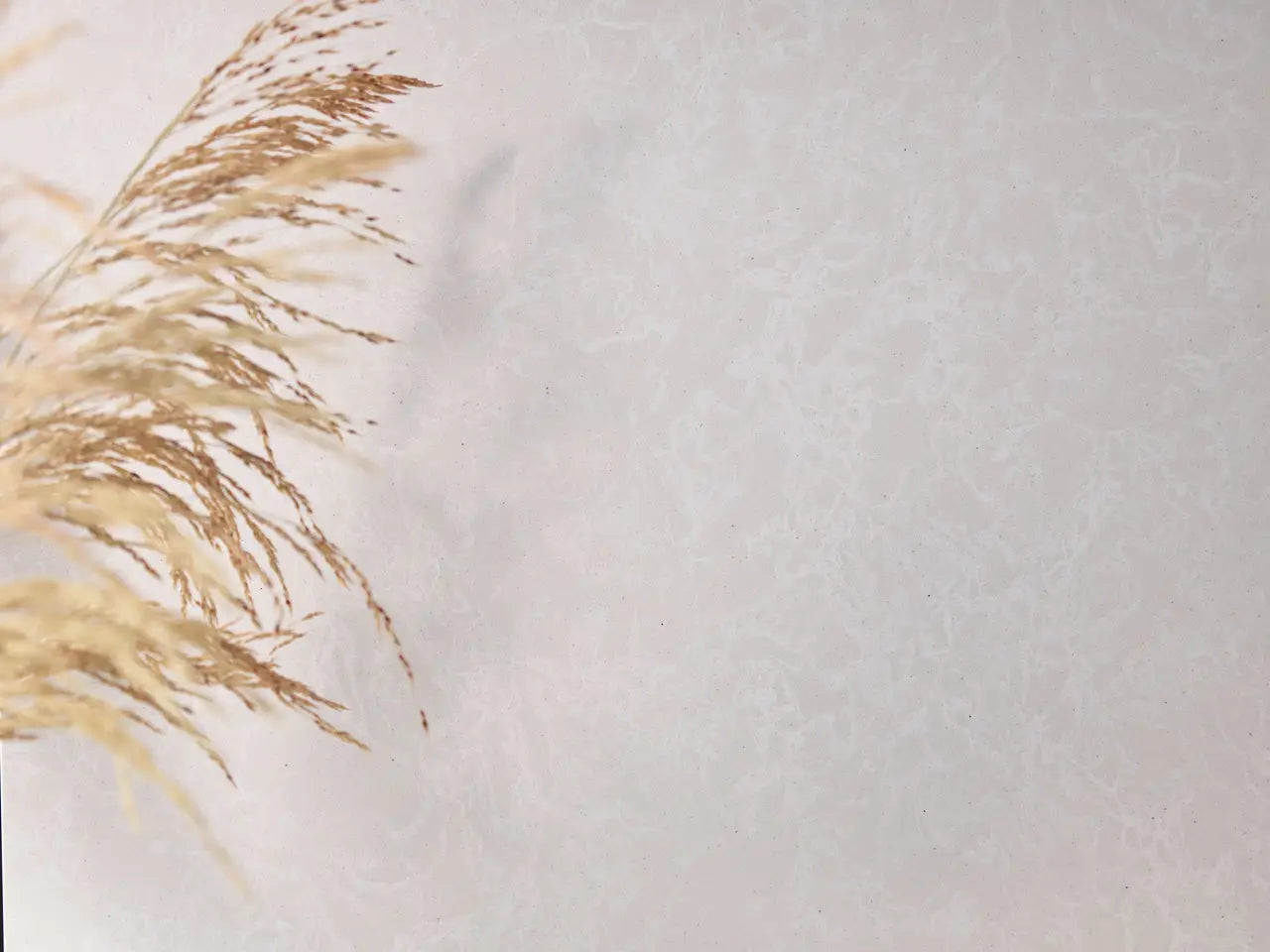Natural stone surface with soft beige and cream tones in delicate feathered patterns — expert countertop fabrication by Signature Stone Las Vegas