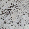 Everest White granite countertop surface with white background and dark veining detail