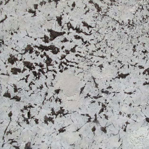 Everest White granite countertop surface with white background and dark veining detail