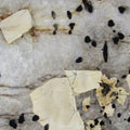 Patagonia granite slab with cream, black, and gold mineral patterns for countertops