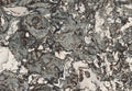 Marwell granite surface with intricate gray and cream veining patterns — premium stone countertops installed by Signature Stone Las Vegas