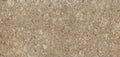Nevern limestone surface with warm beige tones and natural fossil patterns — elegant stone countertops installed by Signature Stone Las Vegas