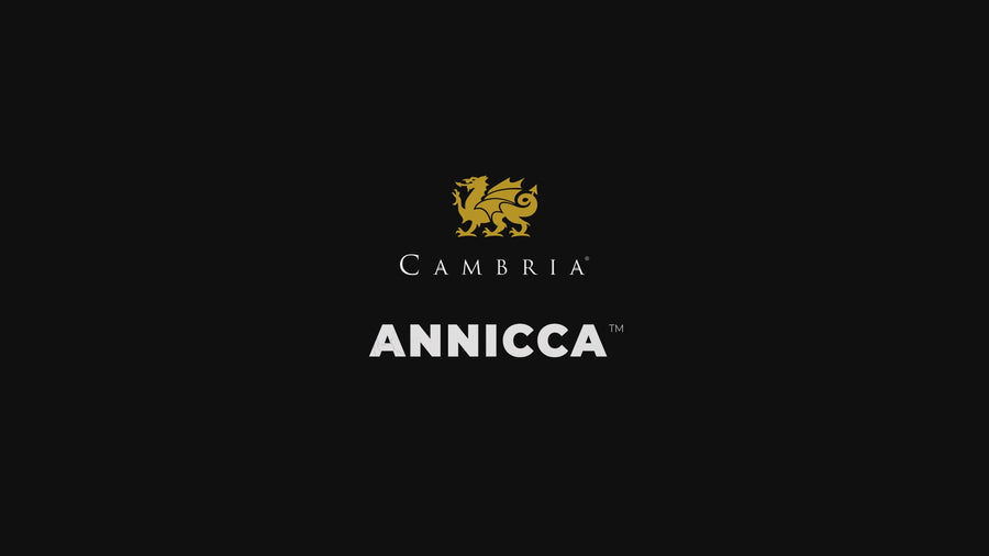 Annicca design walkthrough
